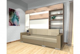 Шкаф-кровать с диваном Каролина в Емельяново - emelyanovo.katalogmebeli.com | фото 4